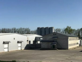 Макаронно-мельничный бизнес